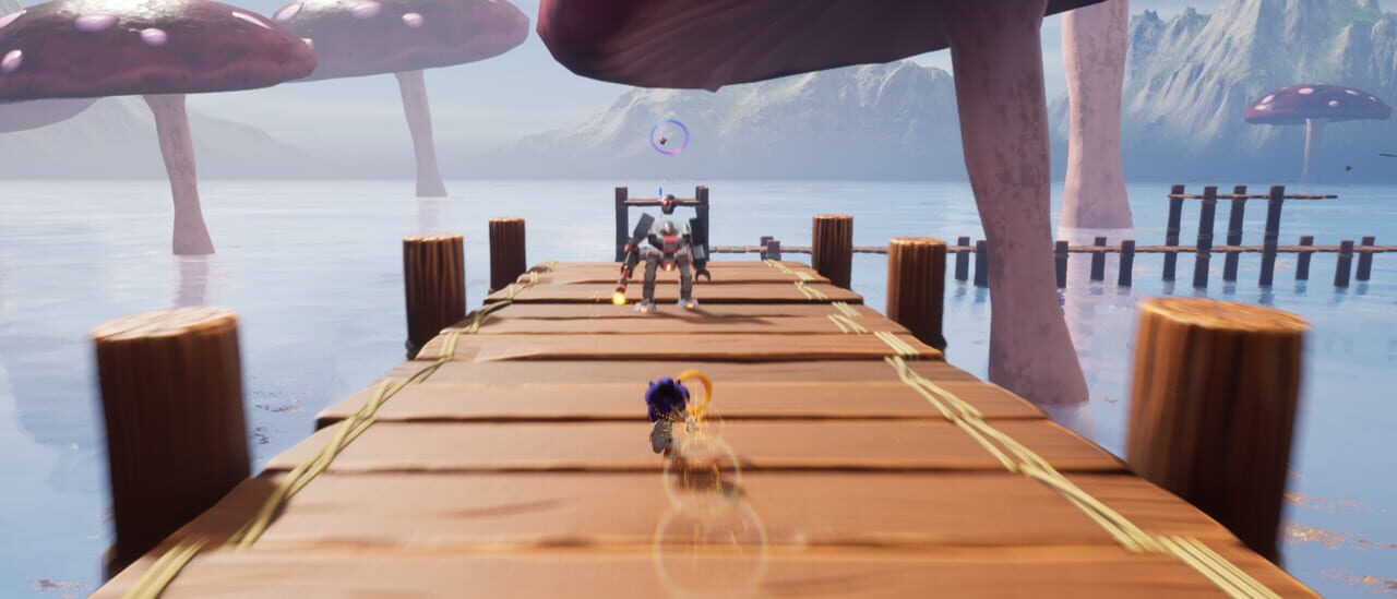 Sonic & Shadow