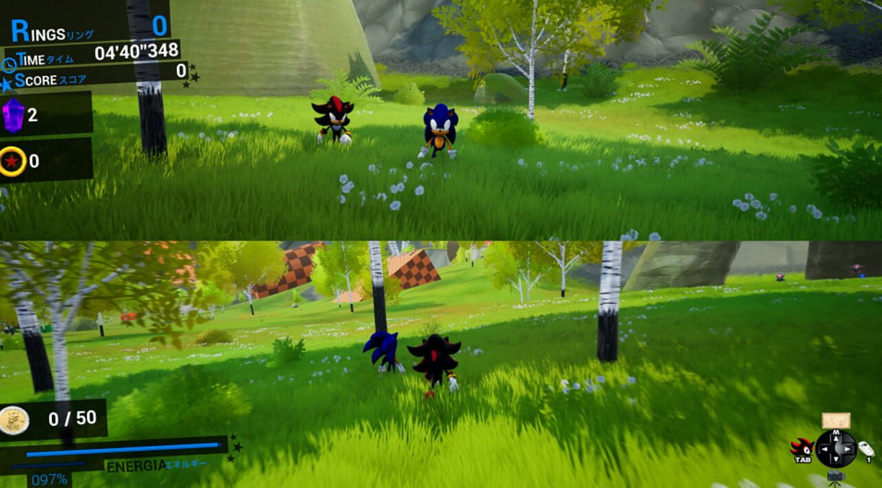 Sonic & Shadow