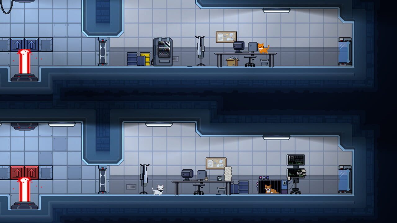 Lab Cats