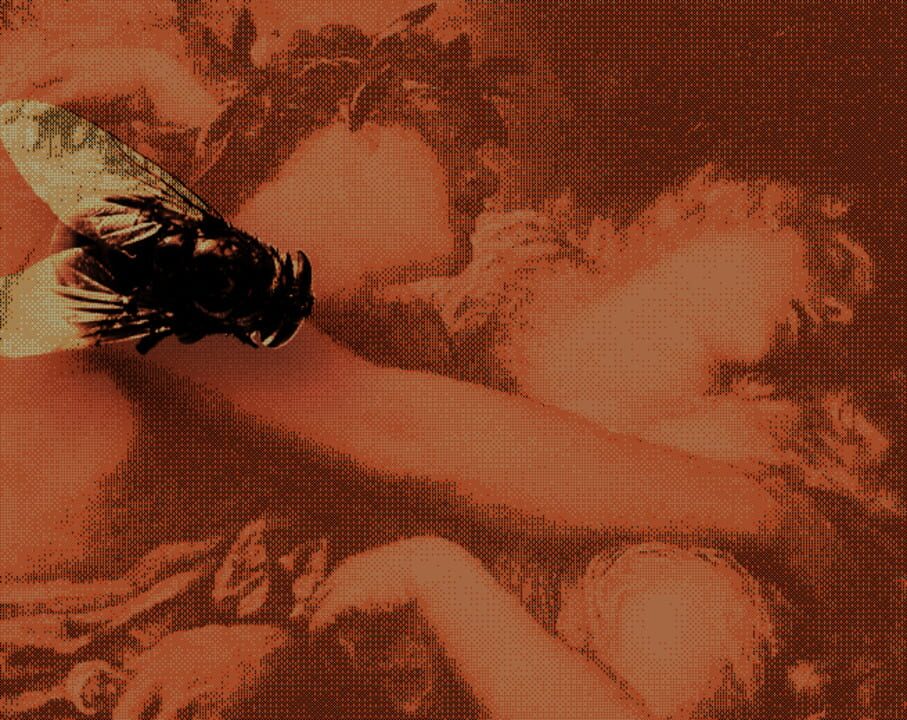 Eurydice Exhumed