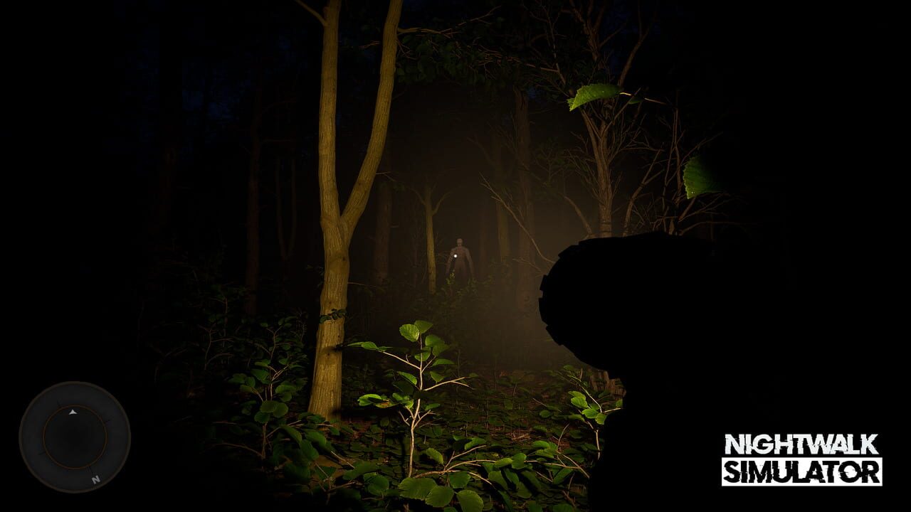 Nightwalk Simulator