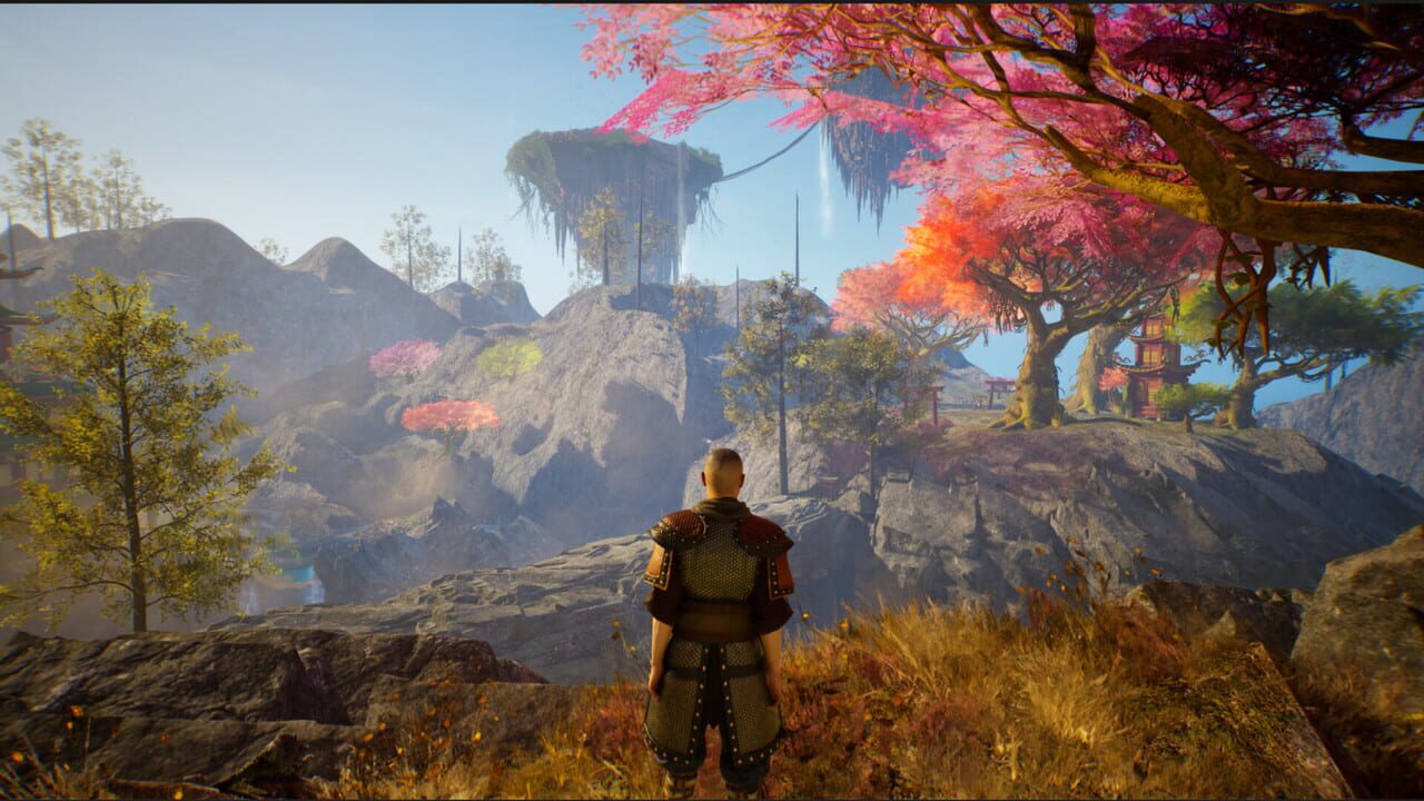 Ronin's Way