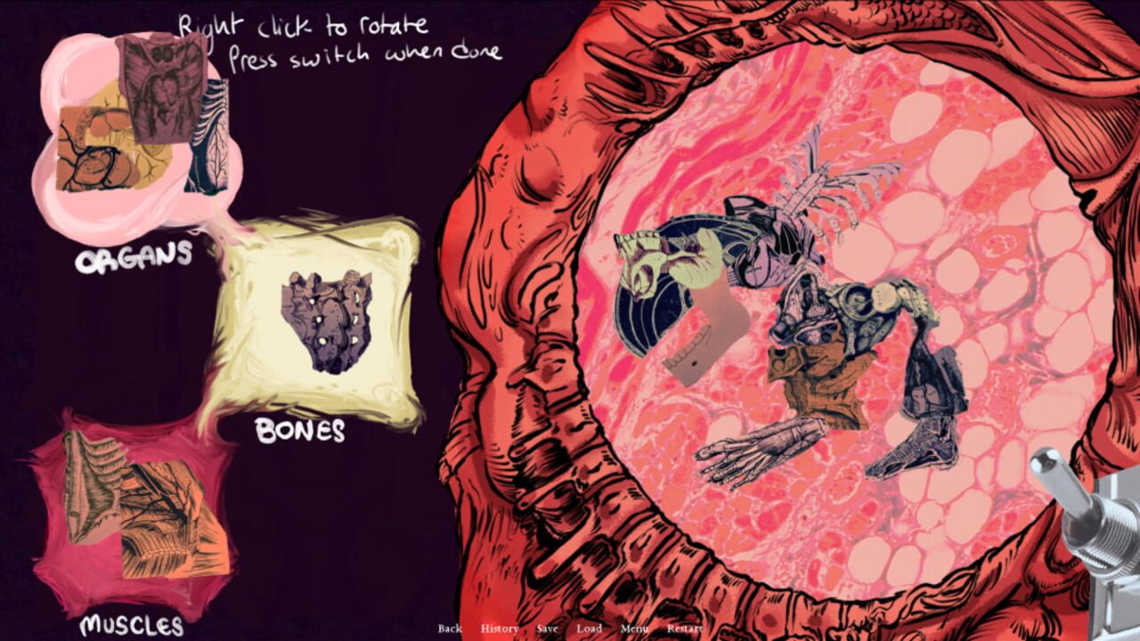 A Night for Flesh and Roses