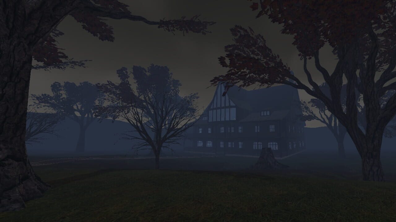 The Witch's Realm