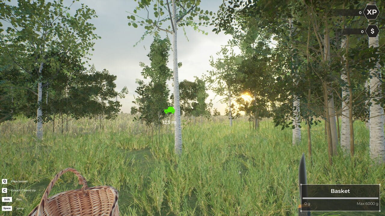 Mushroom Hunter World screenshot