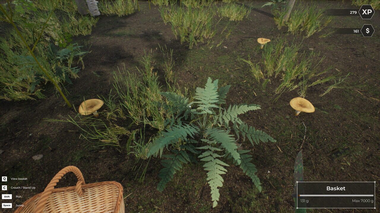 Mushroom Hunter World screenshot