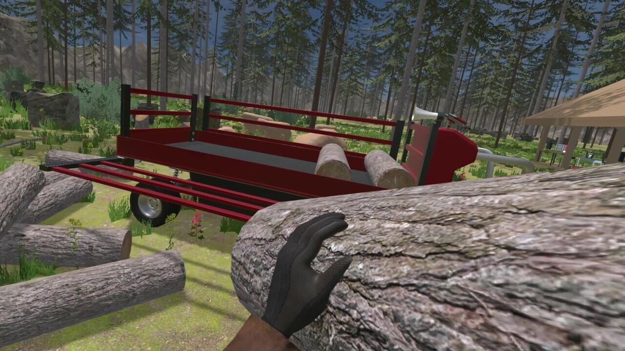 Forest Construction VR screenshot