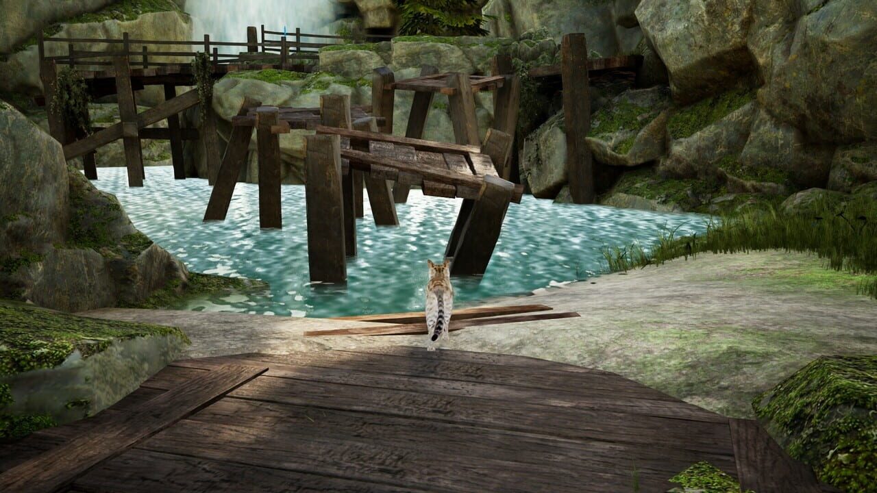 Curiosity screenshot