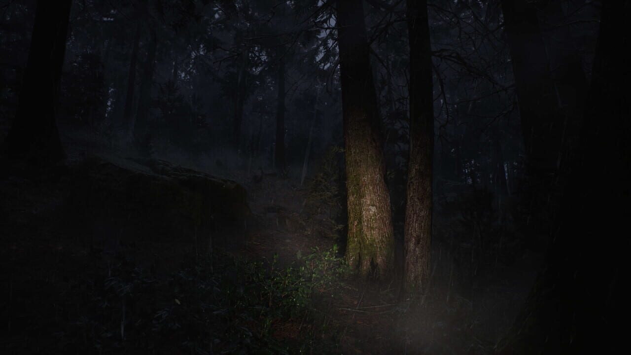 Whispers in the Fog