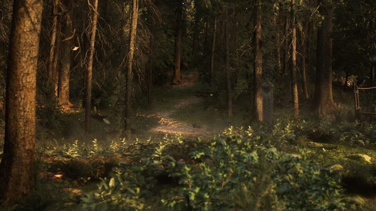 Whispers in the Fog