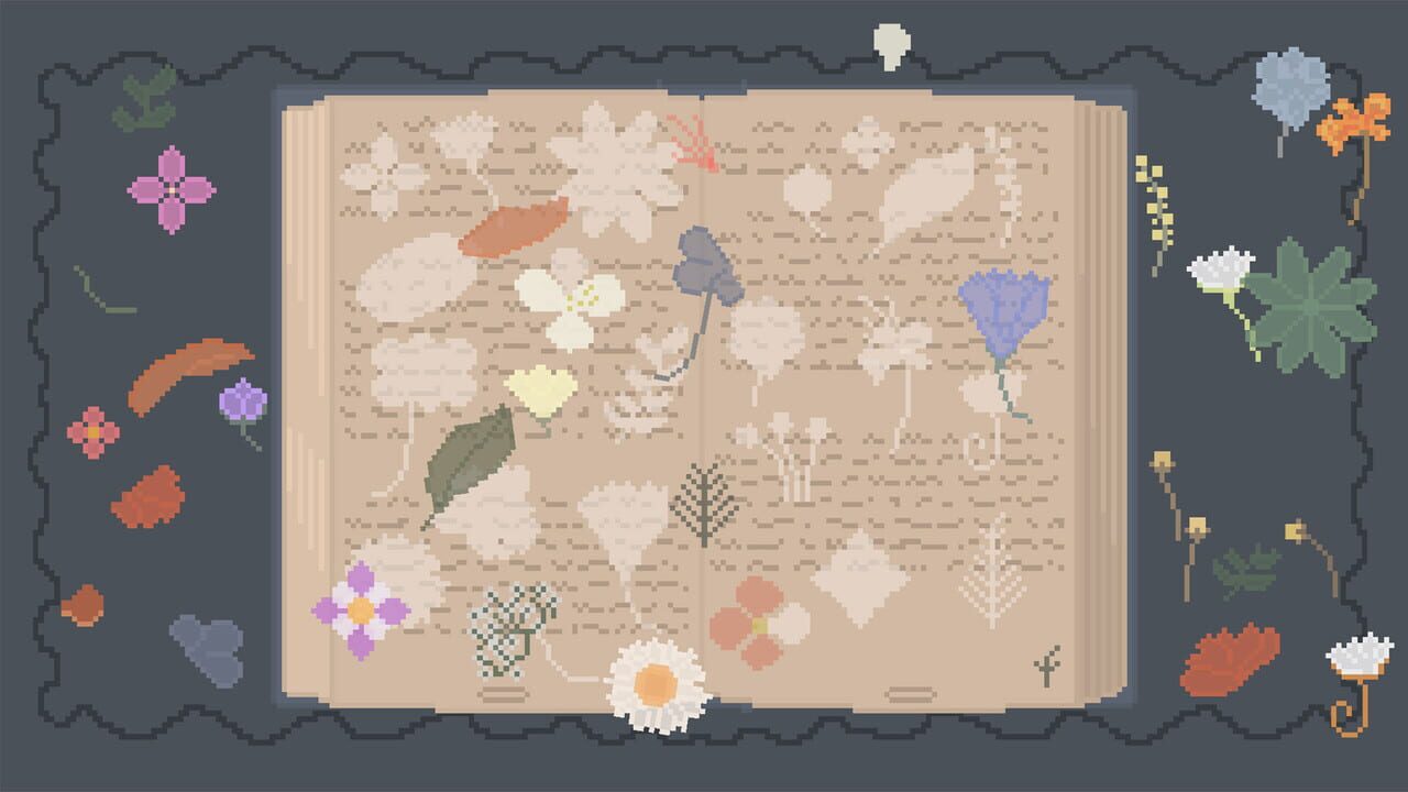 Raccoon Cocoon screenshot