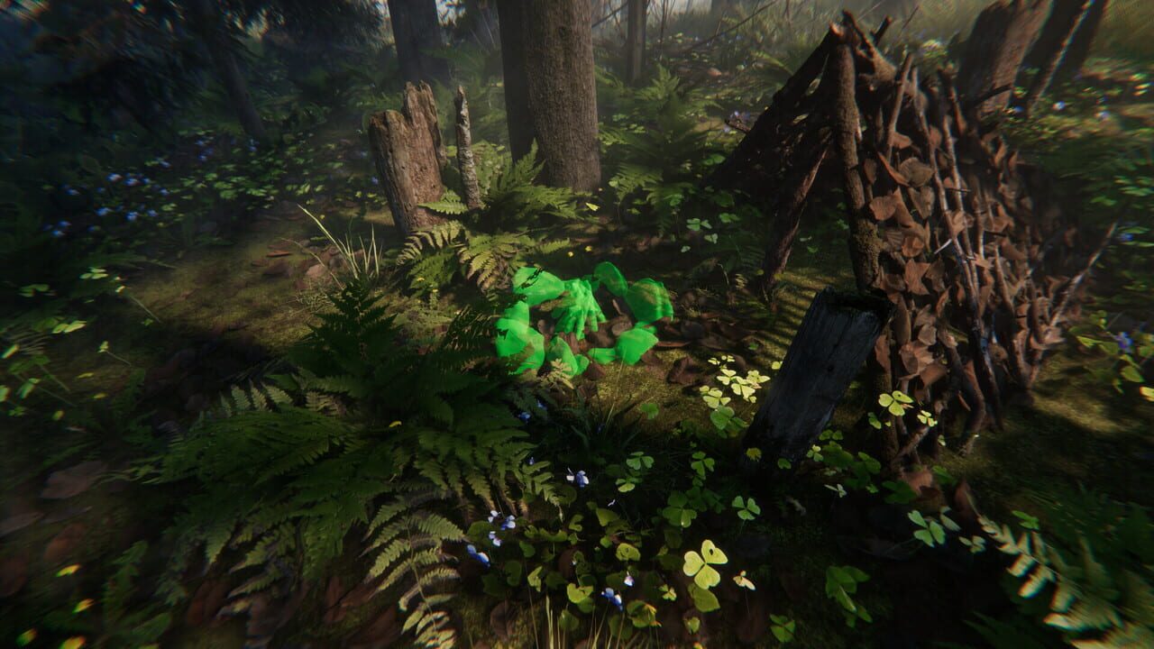 Nền tảng hỗ trợ Echoes Below