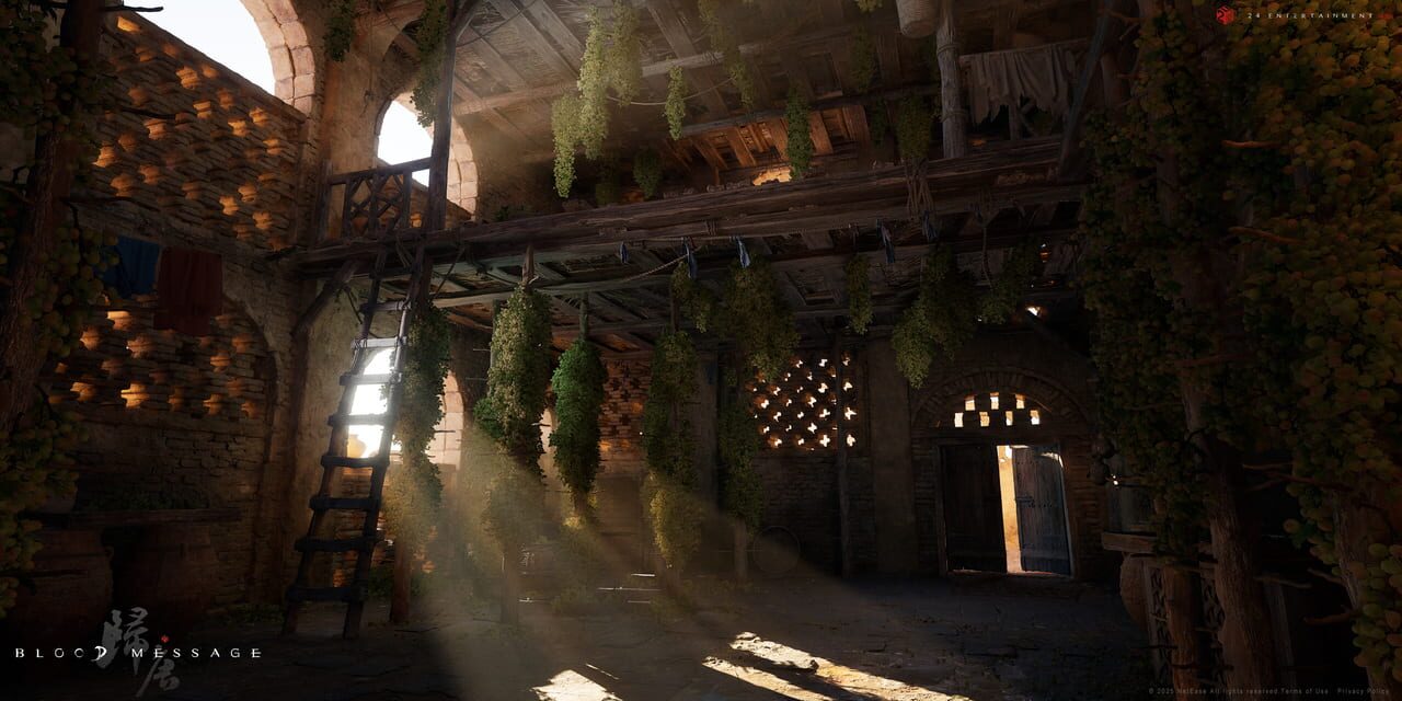 Capture de Blood Message