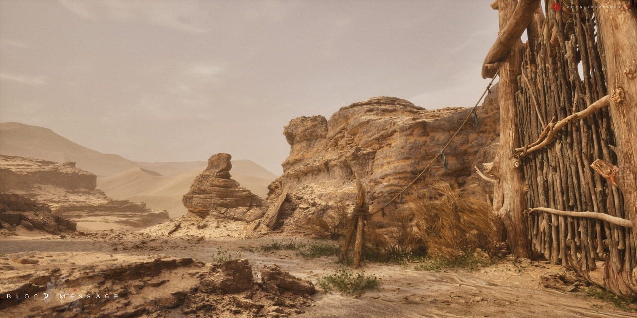 Capture de Blood Message