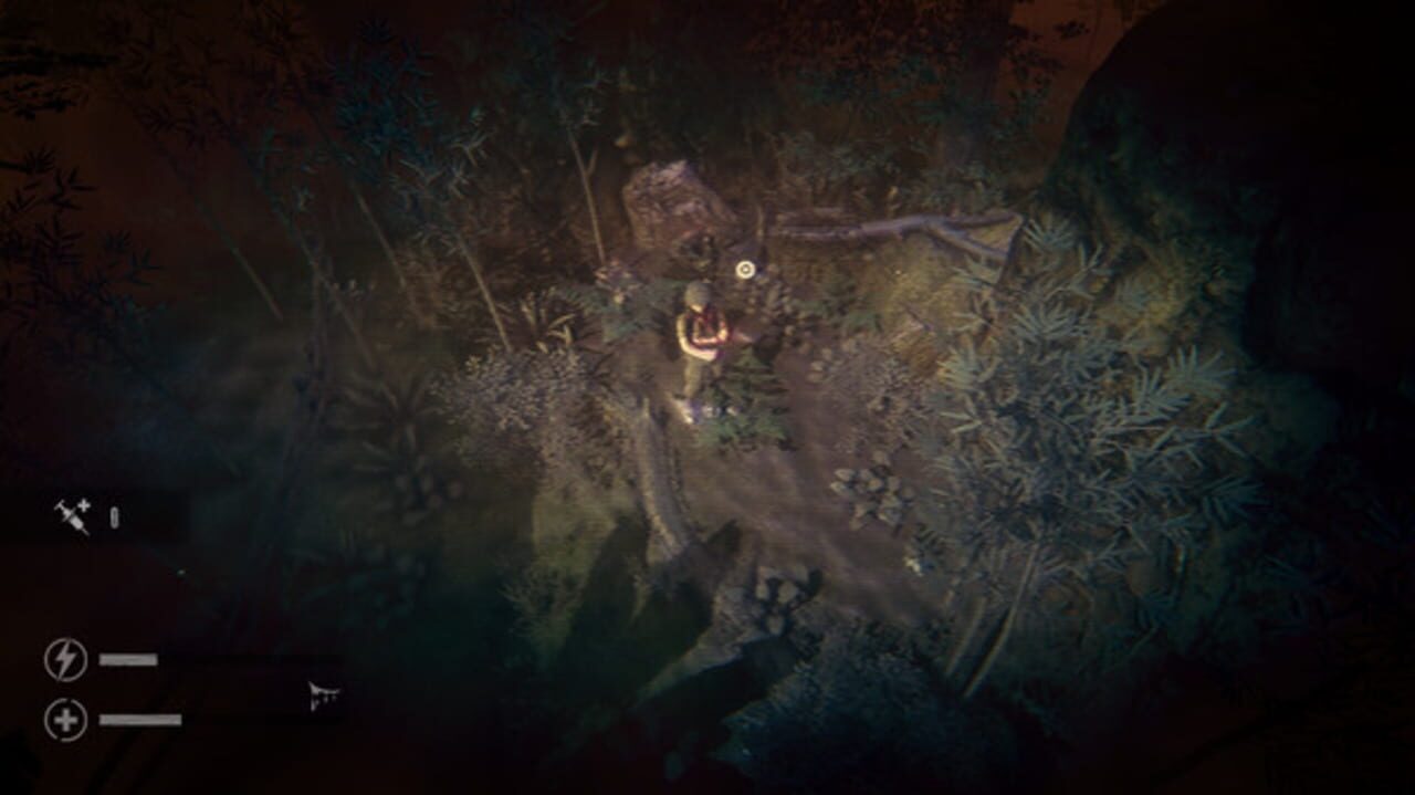 The Silent Jungle