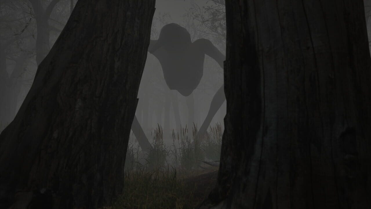 Shadow Warren
