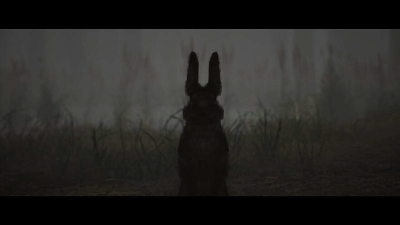 Shadow Warren
