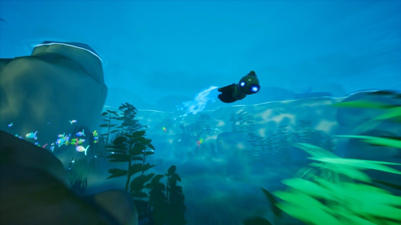Shallow Pond
