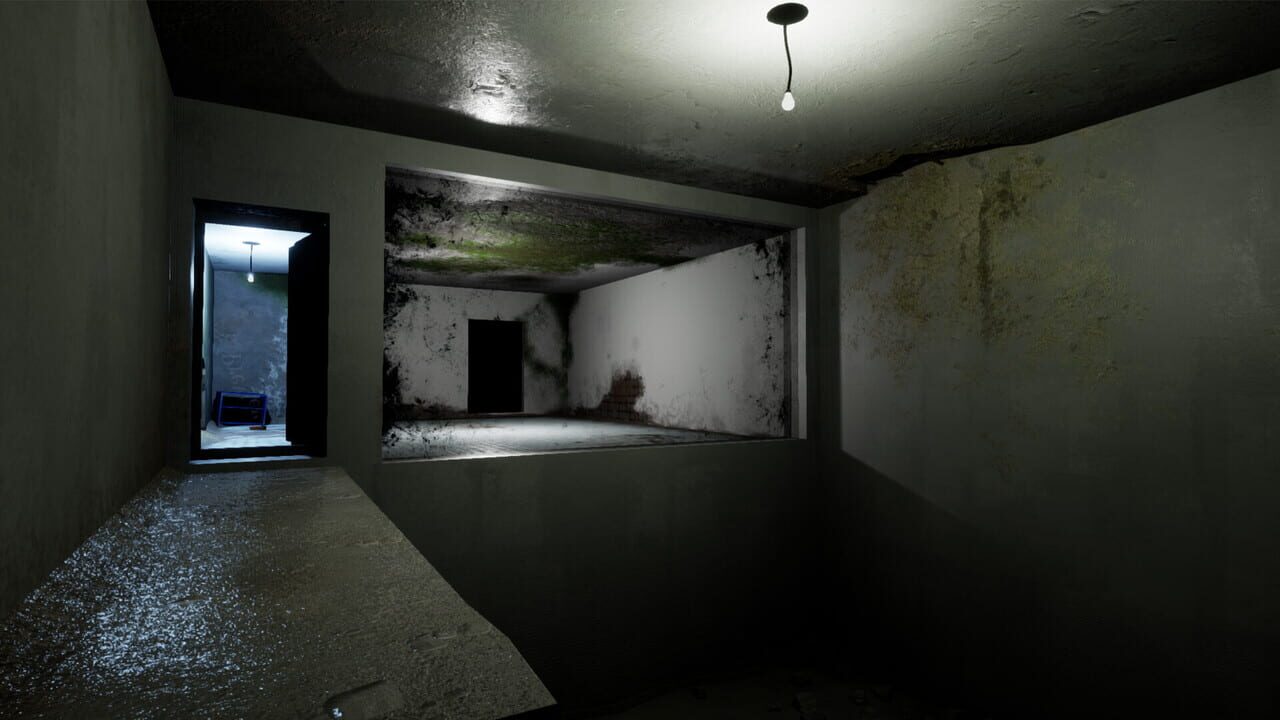 Schizophrenia: R.E.M. Protocol screenshot
