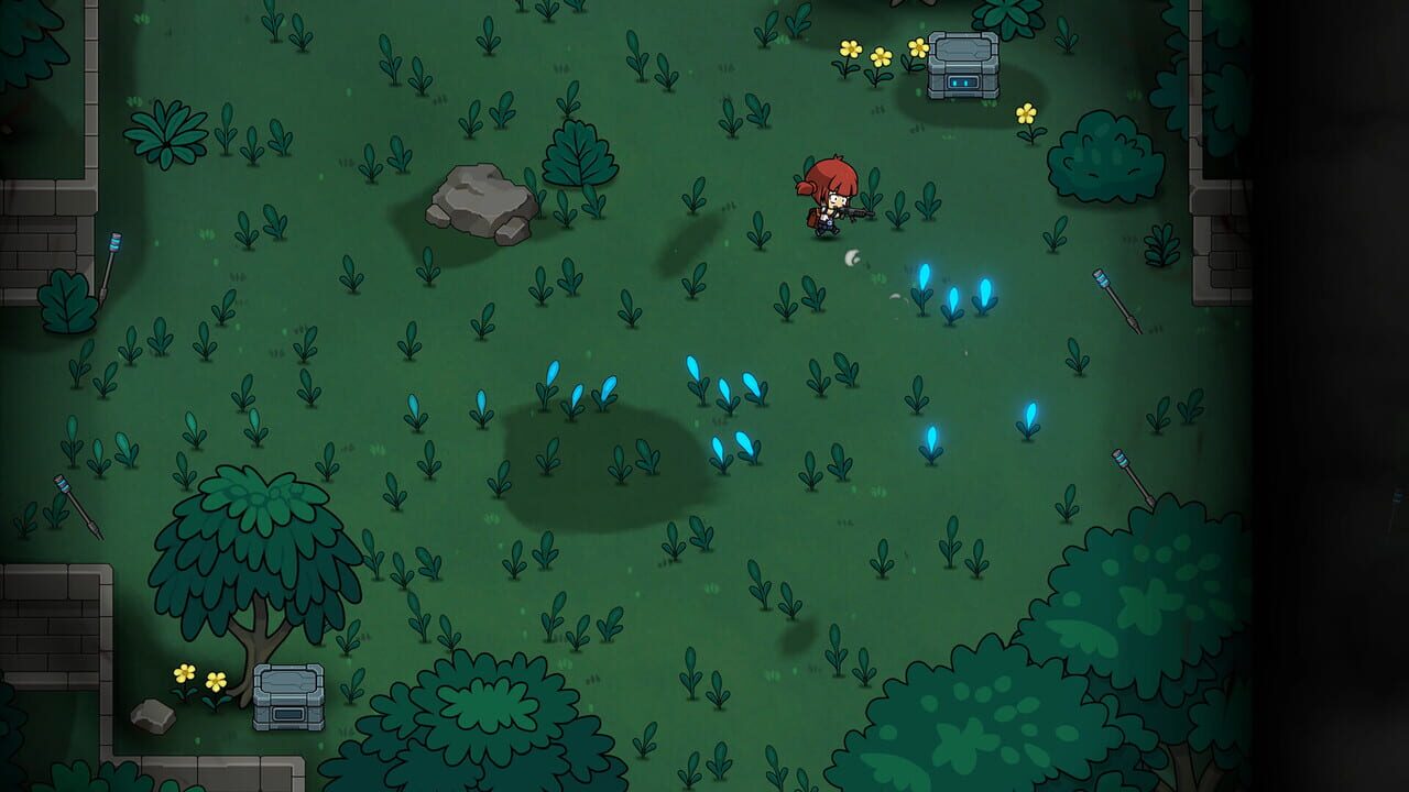 Seed 2313 screenshot