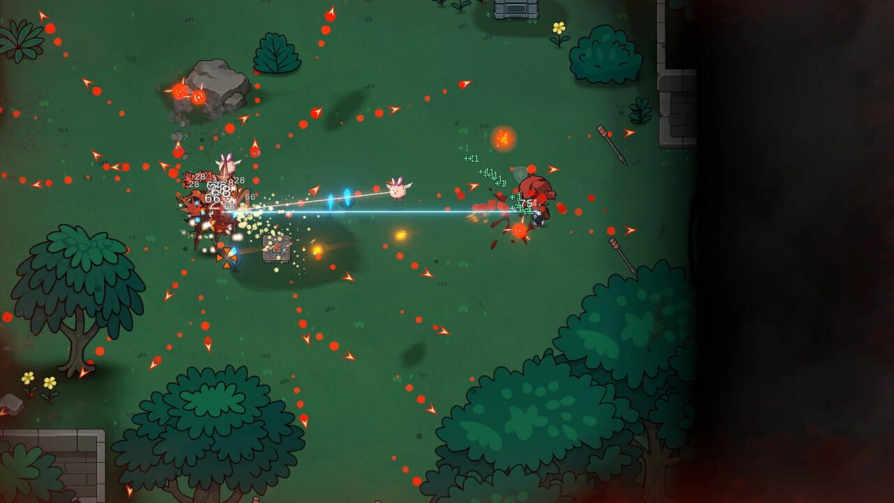 Seed 2313 screenshot