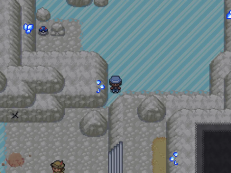 Pokémon Ruckus