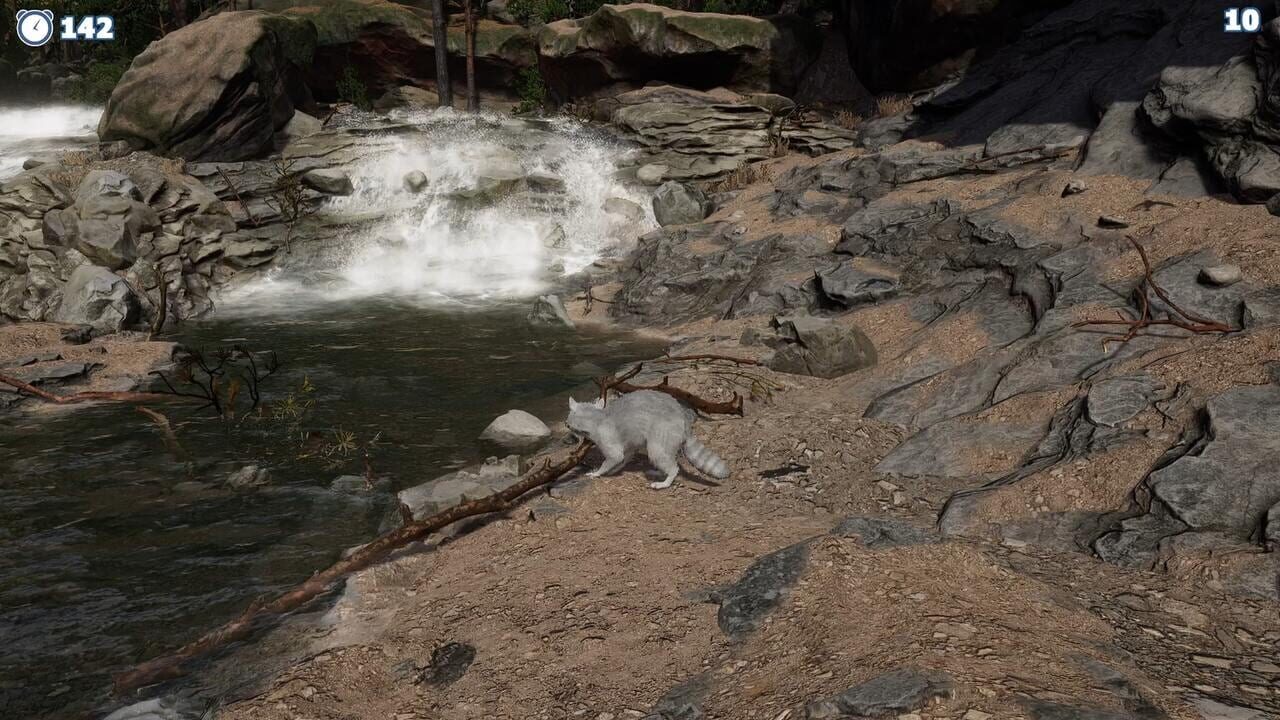 Cazzarion: Raccoon Valley screenshot