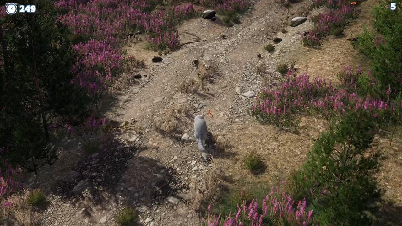 Cazzarion: Raccoon Valley screenshot