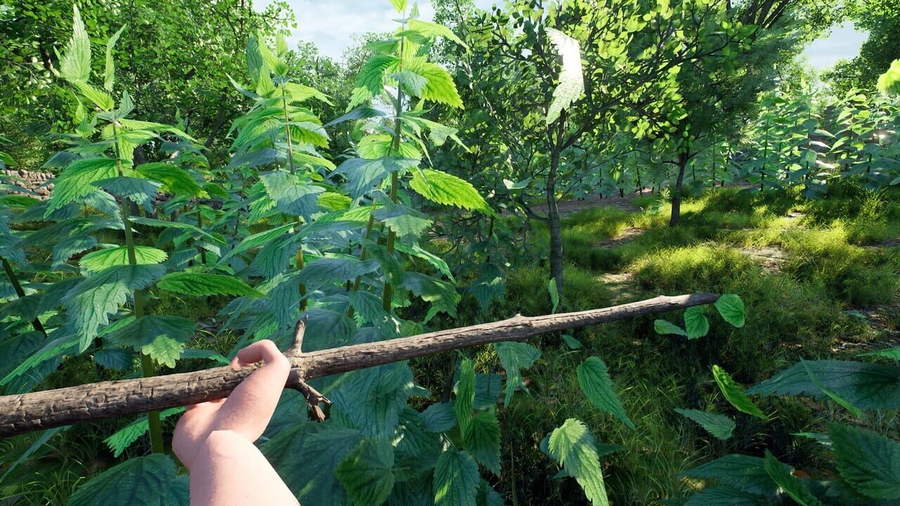 Nettle Slasher