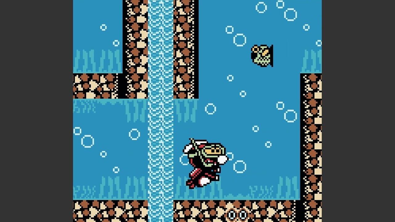 Rabidja's Revenge screenshot