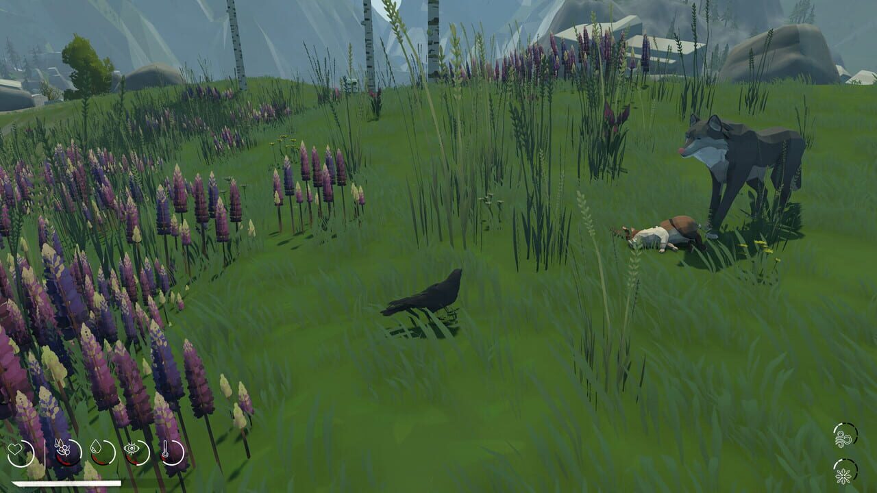 Migration