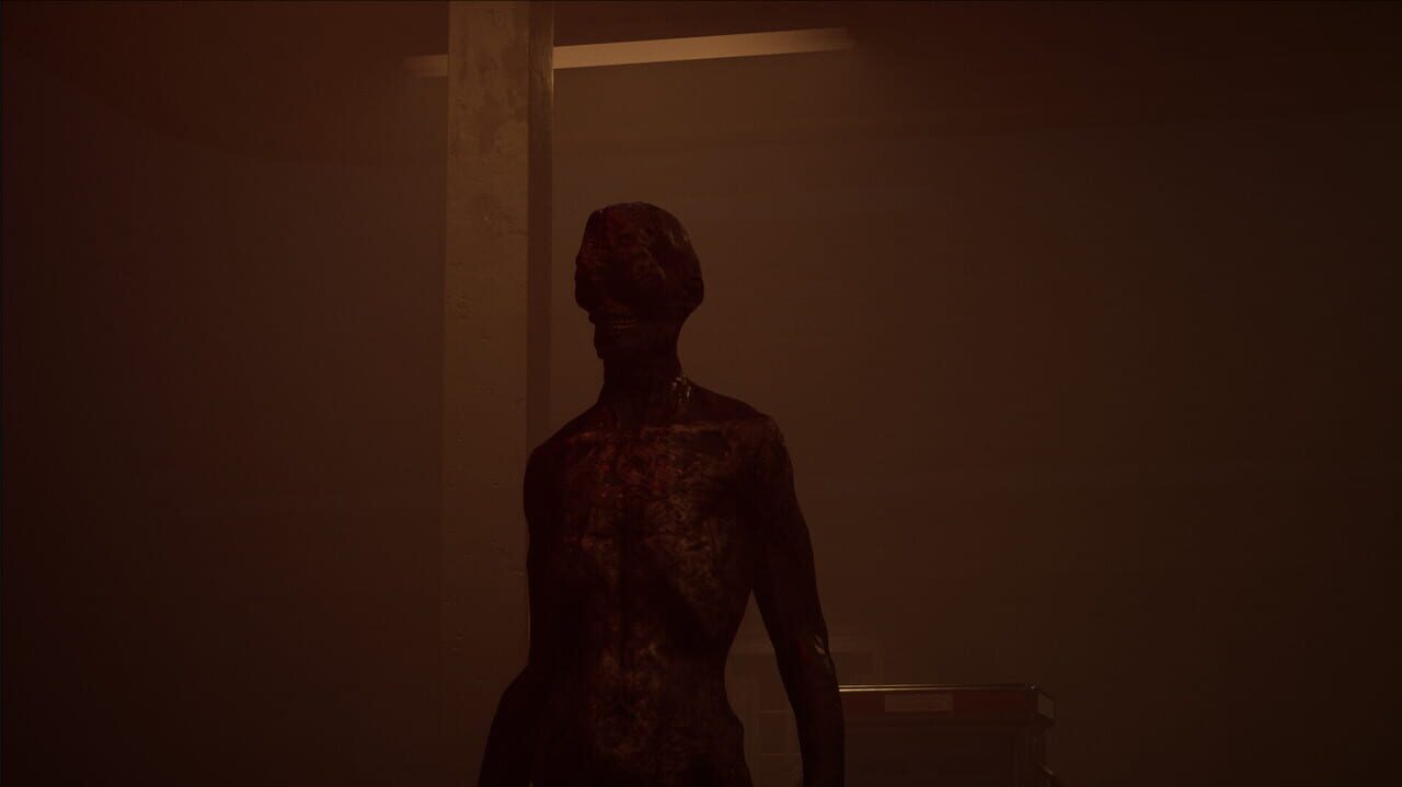 Ash Road: Infection screenshot
