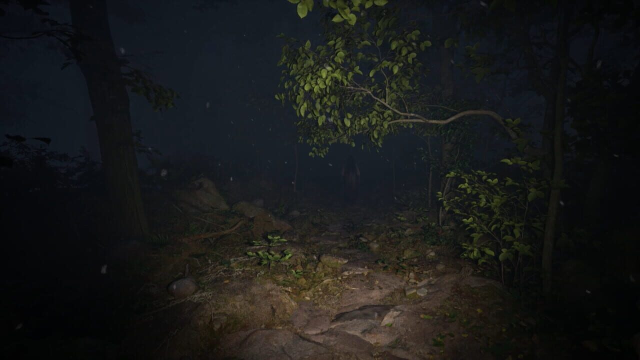 Misty Onsen screenshot