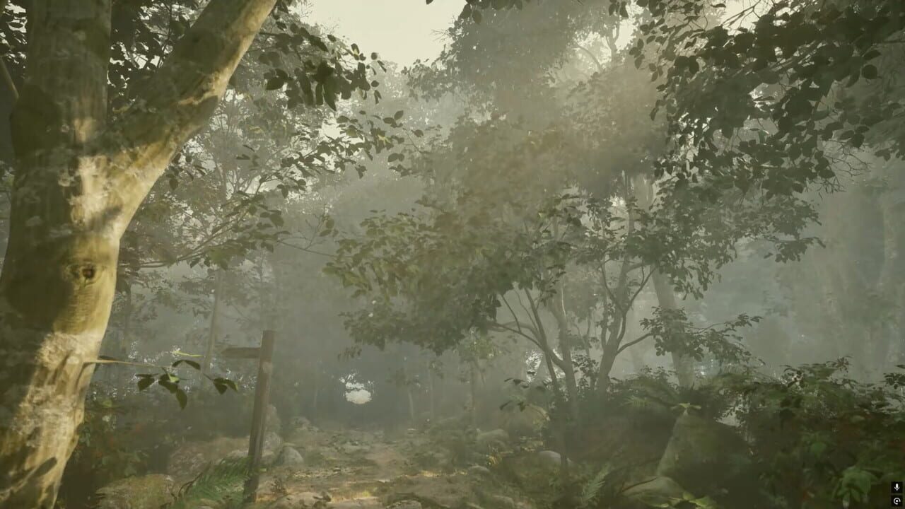 Misty Onsen screenshot