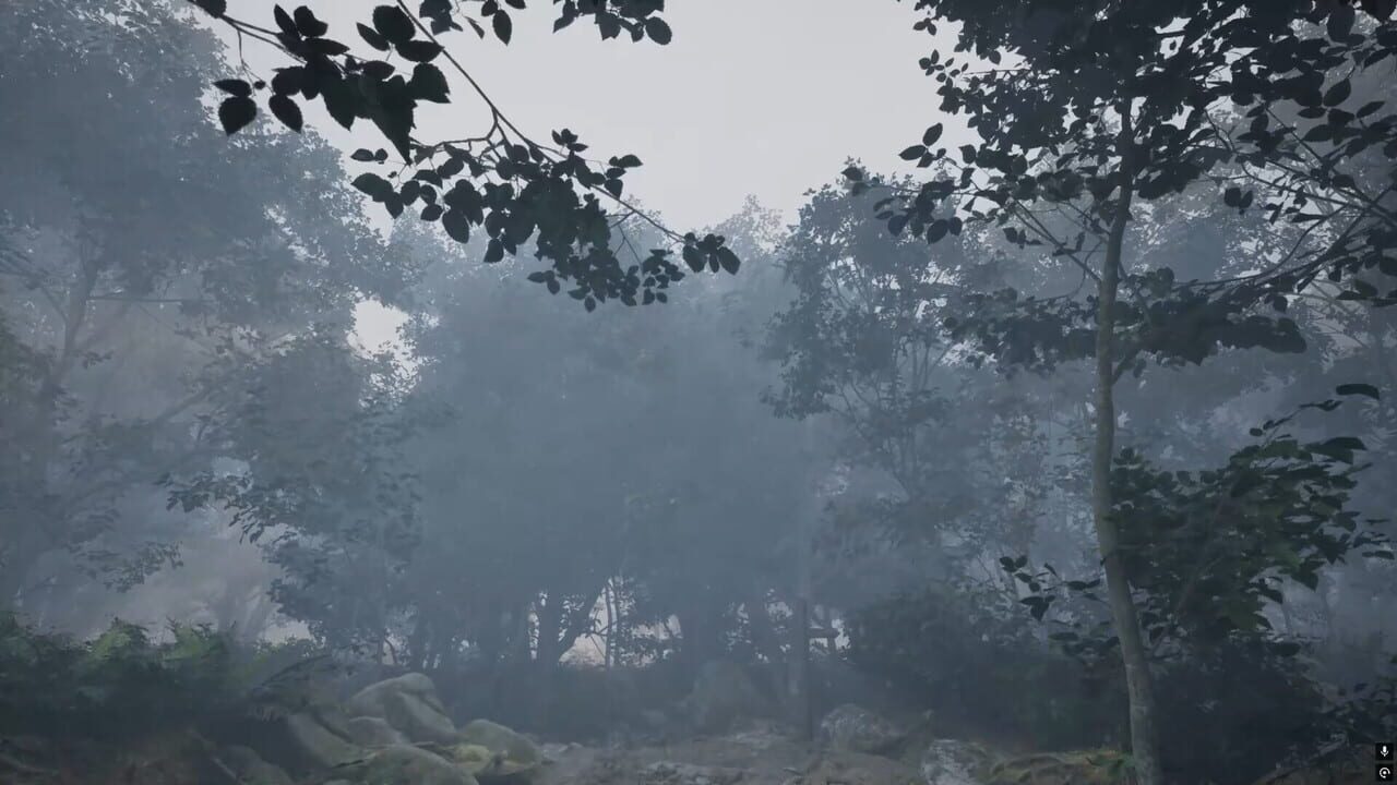 Misty Onsen screenshot