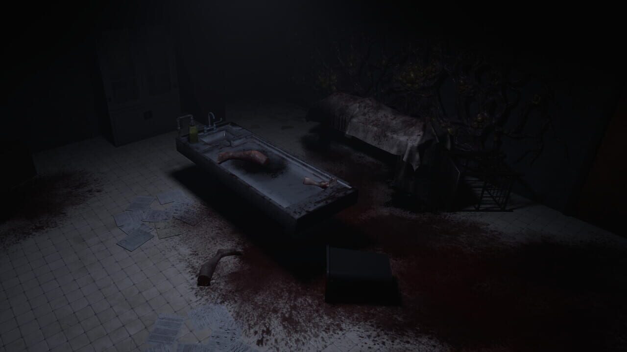 Letherfall screenshot