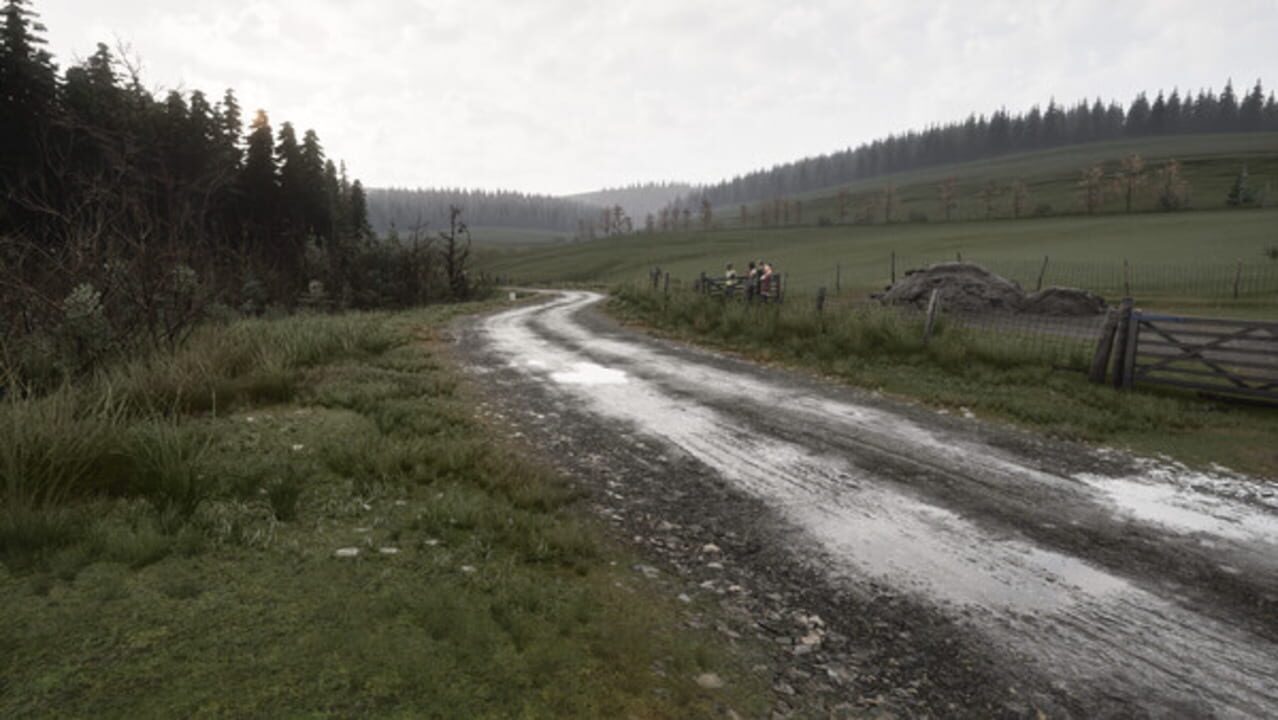 Capture de Assetto Corsa Rally