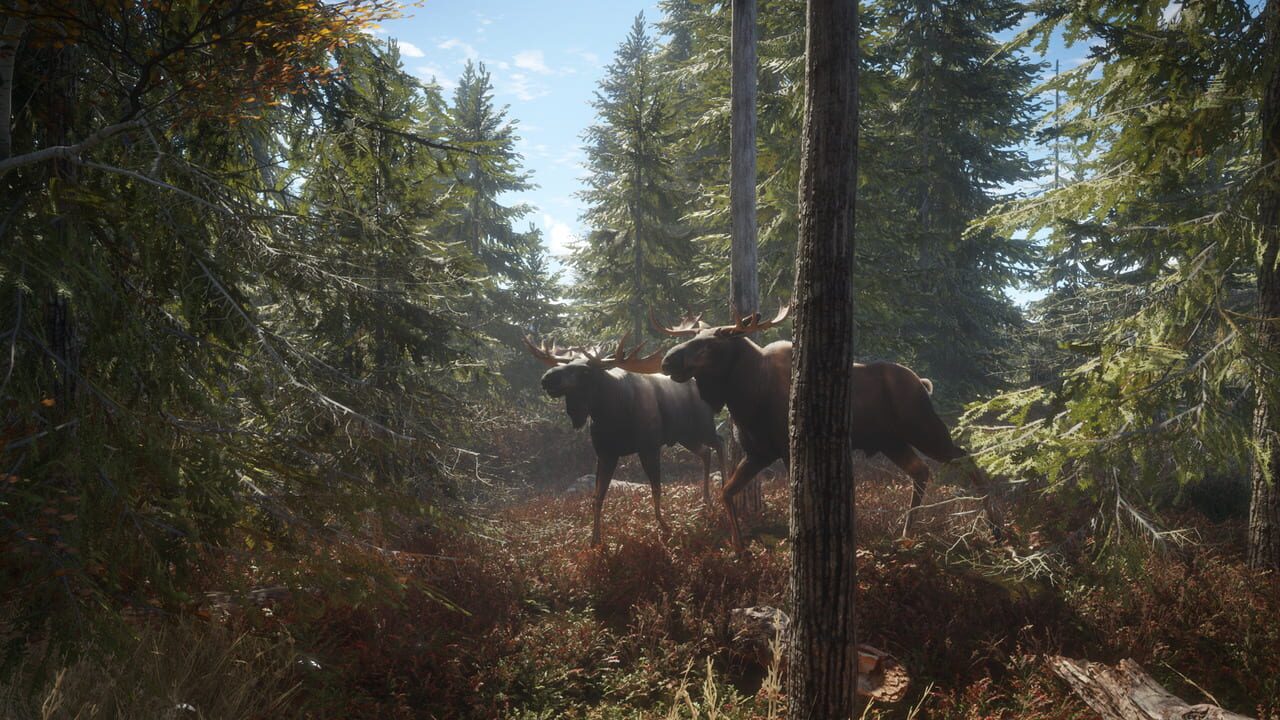 Capture de TheHunter: Call of the Wild