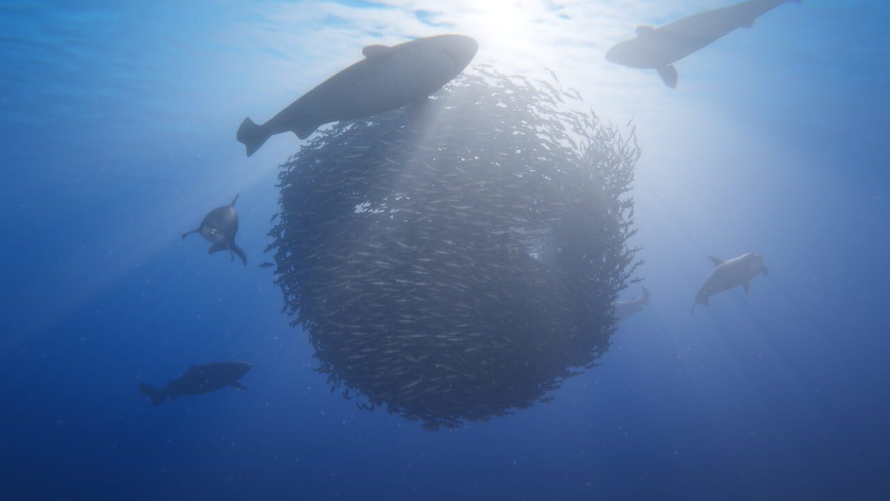 Capture de Beyond Blue