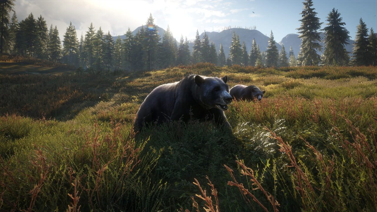 Capture de TheHunter: Call of the Wild