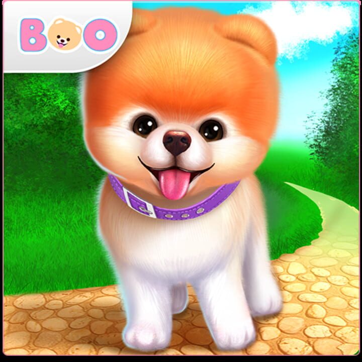 Boo: The World's Cutest Dog Game cover art