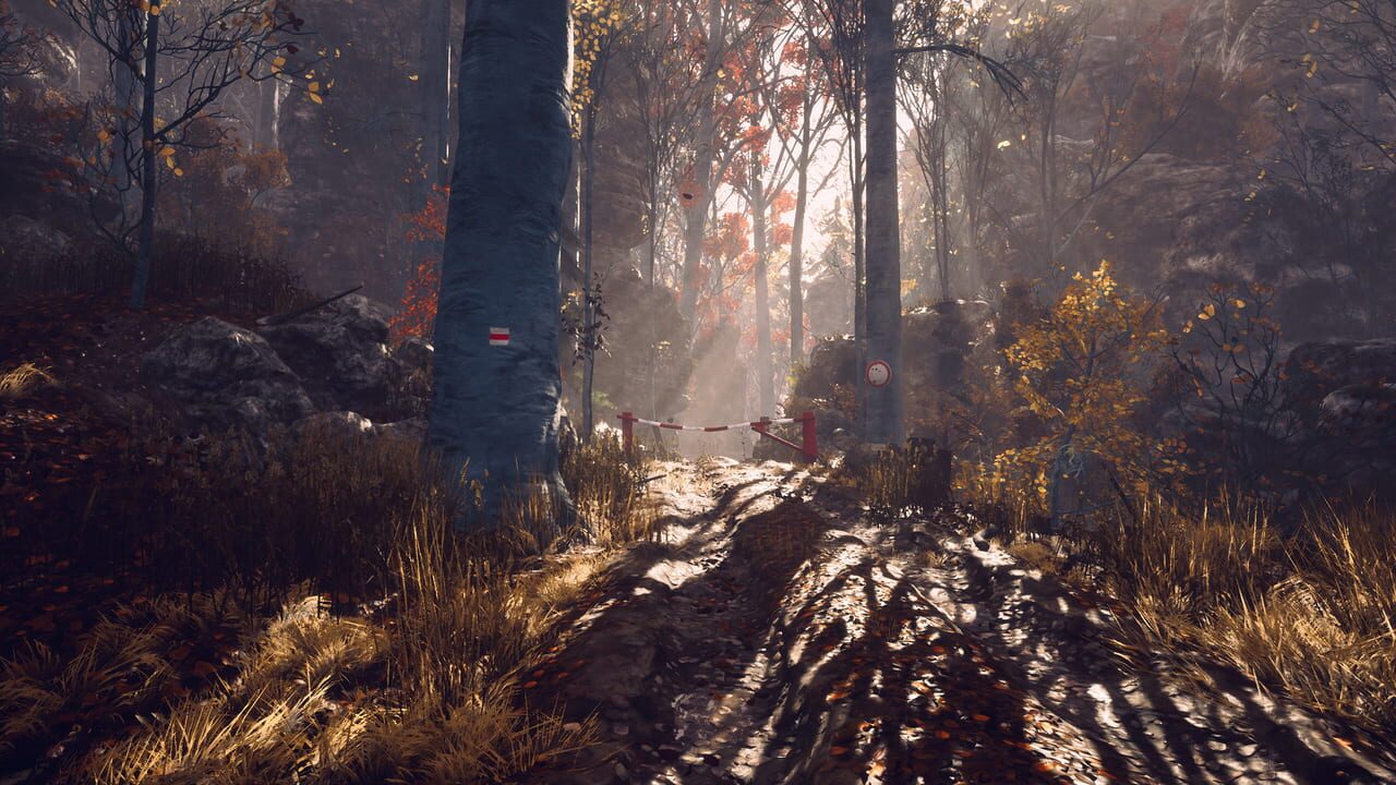 Capture de Someday You'll Return