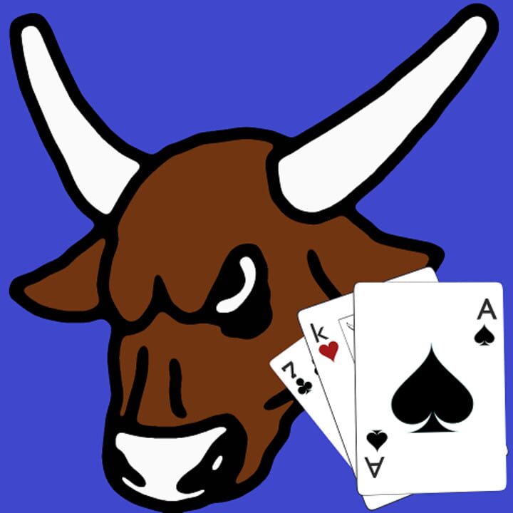 Rodeo Judge cover art