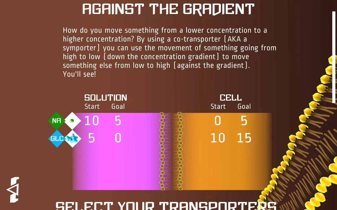 Against the Gradient screenshot 2
