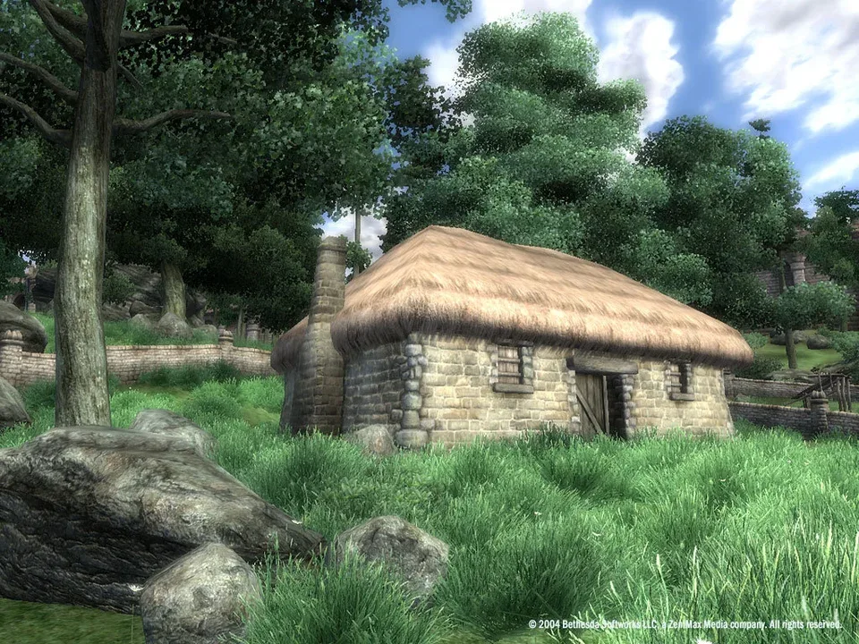 The Elder Scrolls IV: Oblivion - Game of the Year Edition screenshot 2
