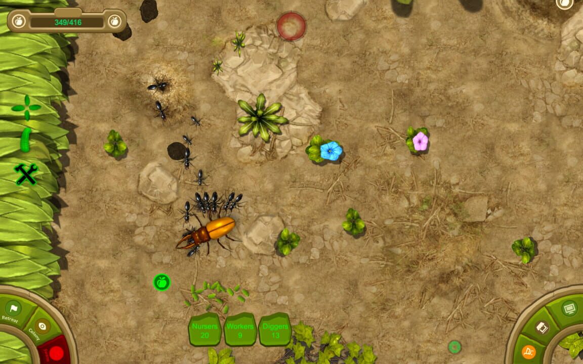 Ant Queen (2016)
