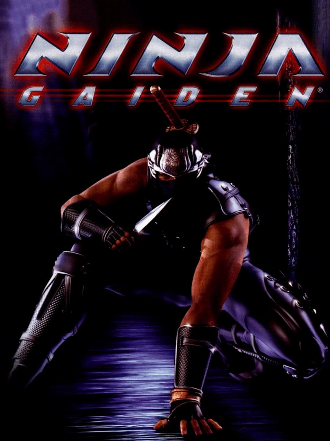 Ninja Gaiden cover