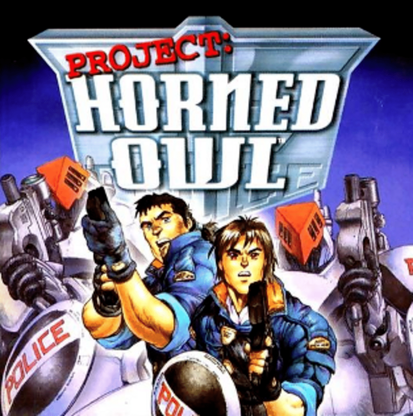 Project: Horned Owl cover