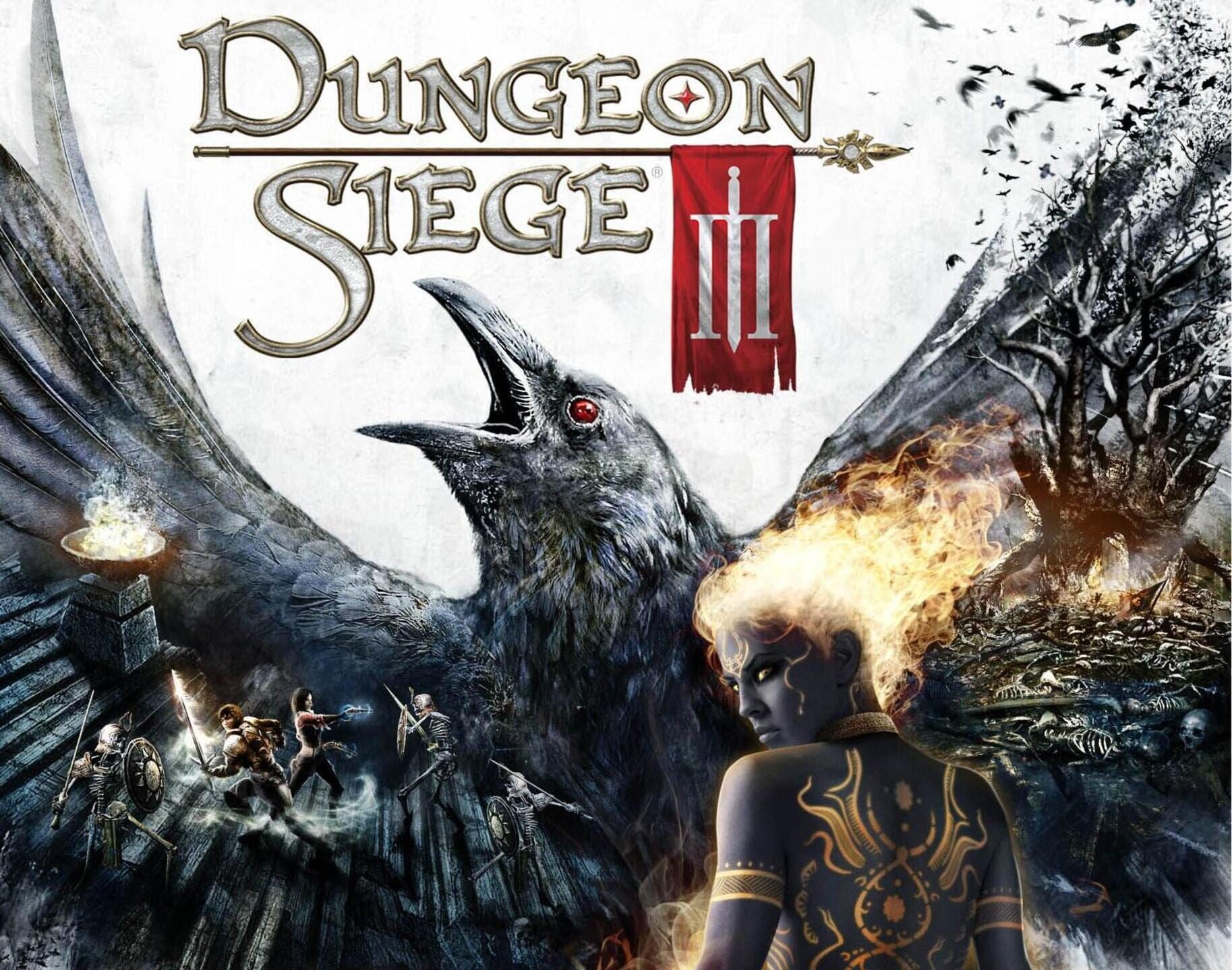 Dungeon Siege III cover