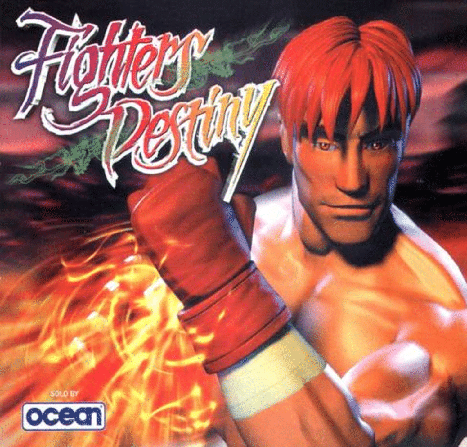 Fighters Destiny 2 cover